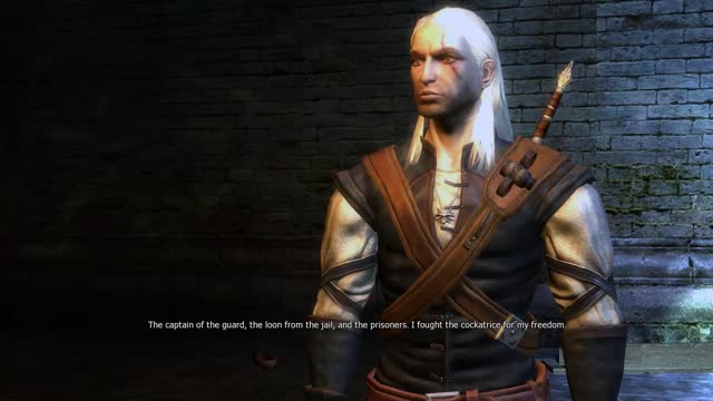 The Witcher: Enhanced Edition Directors Cut, Just for Fun, Pt. 3