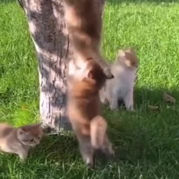 Time to climb|keep going people