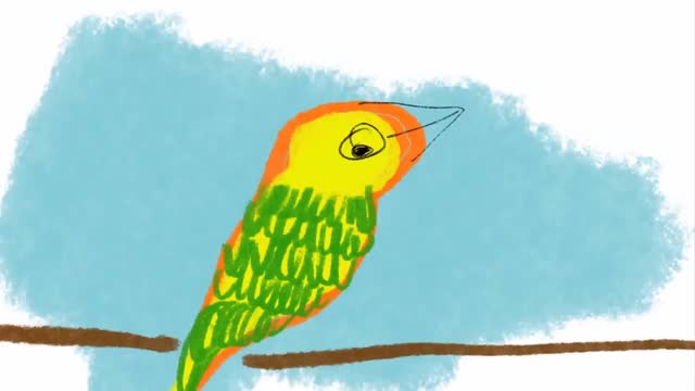 Birds morning