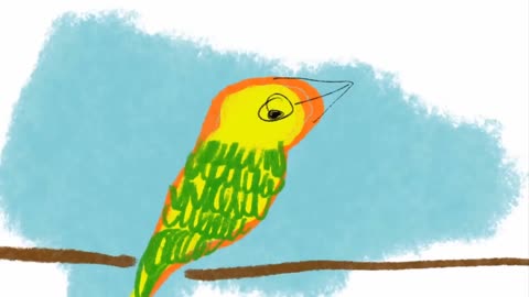 Birds morning