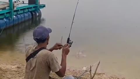 This is a beautiful and charming water-dwelling species