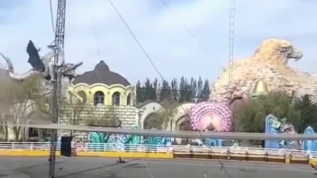 Funny video