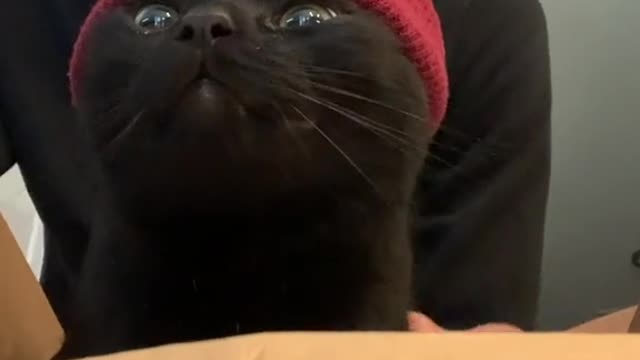 His face lol