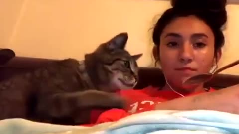 Funny Cats video 🤣🤣🤣Cute Cats & Kittens |Funny Compilations 😍😍😍