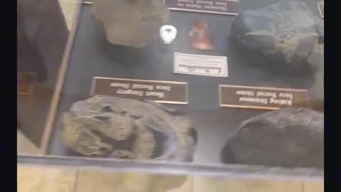 No Scientist Can Explain These Discoveries!