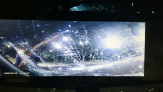 Man Standing in Street Slams Windshield with Branch