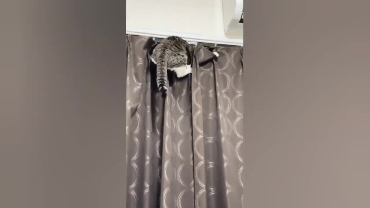 you will be amazed what you see