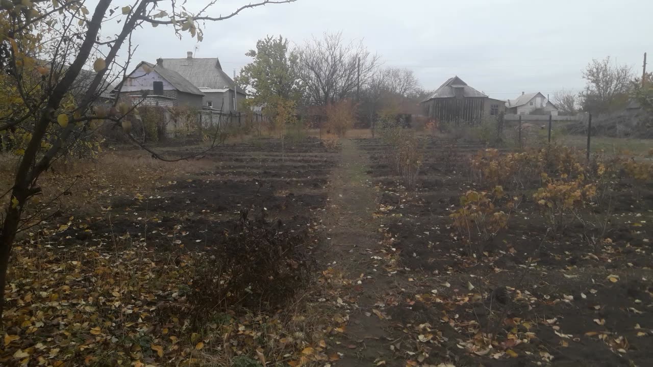 Garden in late autumn