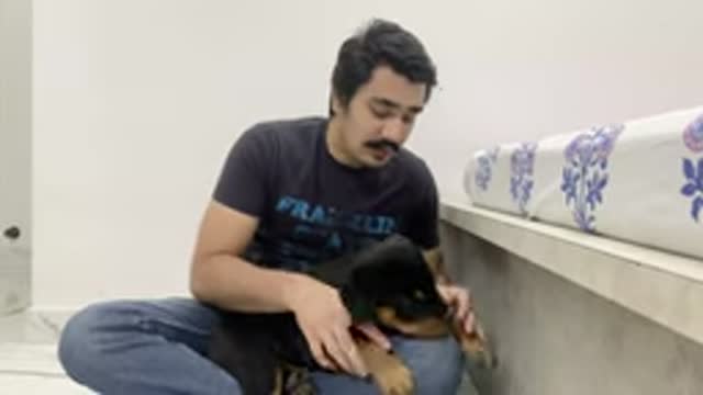 HOW TO STOP PUPPY BITING |PUPPY BITING PROBLEM| PUPPY BITING TRAINING IN HINDI|DOG TRAINING IN HINDI