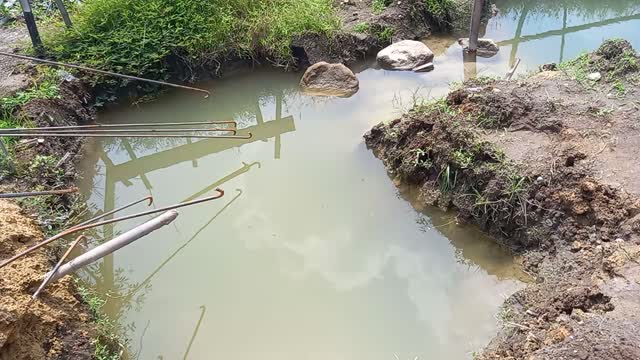 fish pond in the garden
