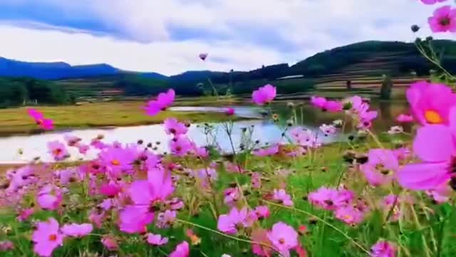 Good scenery good scenery good weather good mood