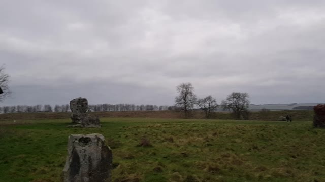 Ancient standing stones in field.