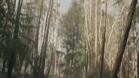 Deleted scenes Hulk movie Hollywood Action scene YouTube