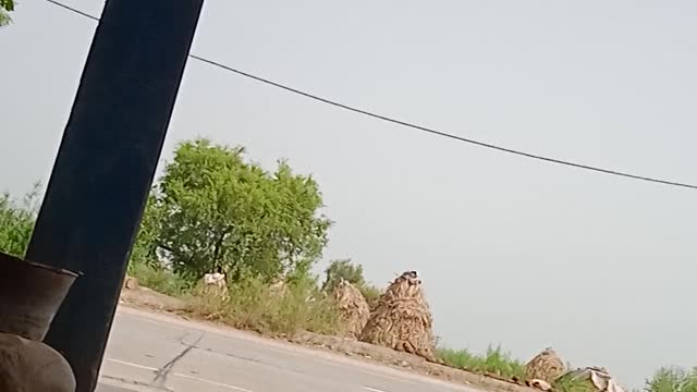 Local India Fast Road....🏍️🚚🚛🚌🚌