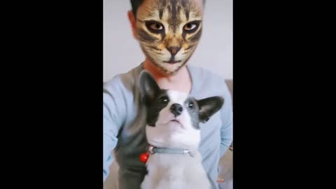 Dog & Cat Reaction To Mask Filter - Funny Dogs & Cats Scared Of Cat Mask Filter