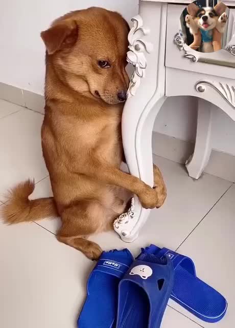 I'm sorry, next time I won't dare to do that again! ☹