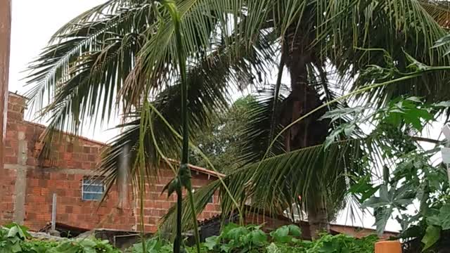 Chuva boa em Mossoró RN