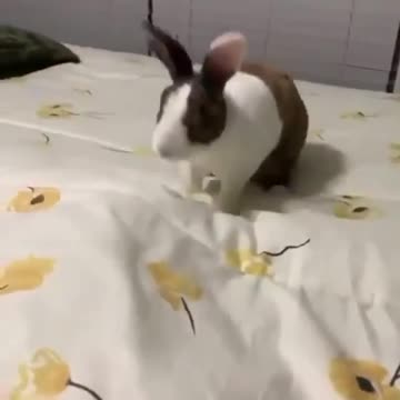 He likes things to be neat and tidy