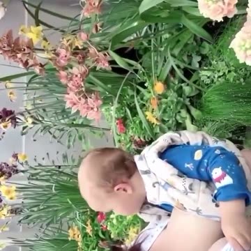 Breast feeding Please refer to this breastfeeding👶🍼