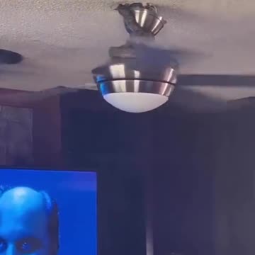 Where did this snake come into my home