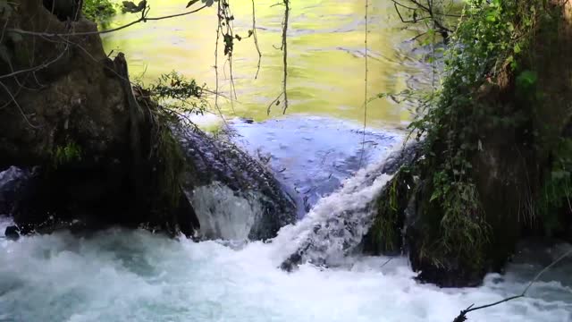 Running River Water Relaxation ASMR Background Noise