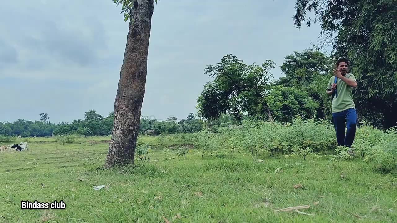 Must watch full funny video