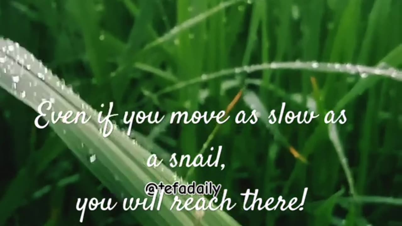 Quote move like little Snail.