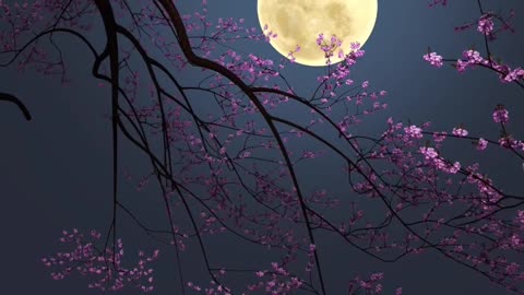 Beautiful Moon 🌙 ❤️#nature