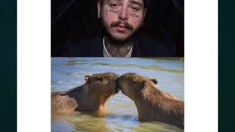 The Best Math Memes | August 2022 #shorts