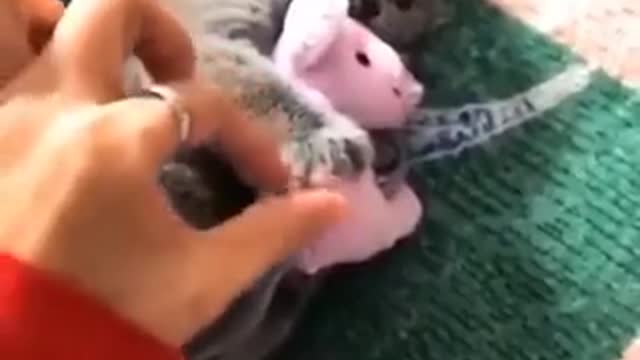 This is mine now