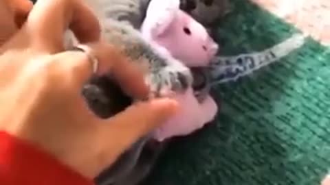 This is mine now