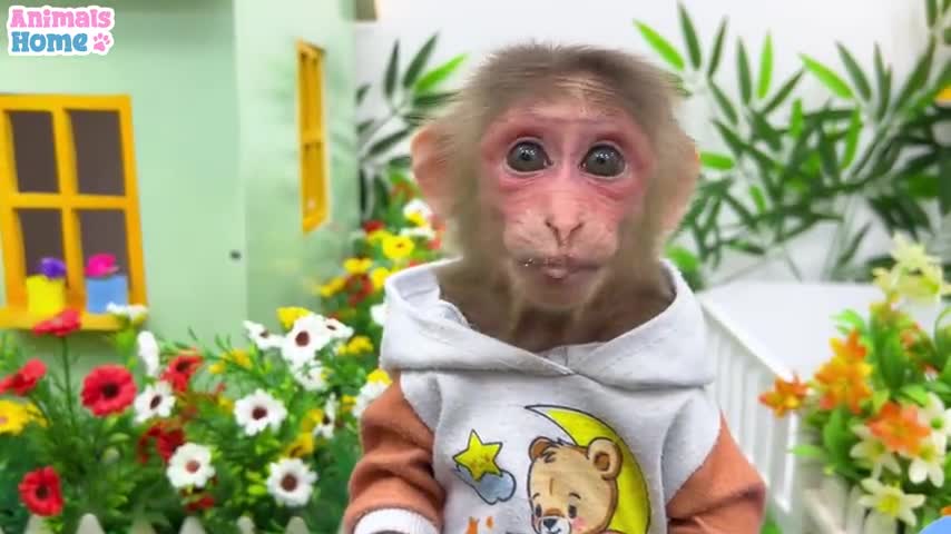 BiBi go to the toilet and playing with ody
