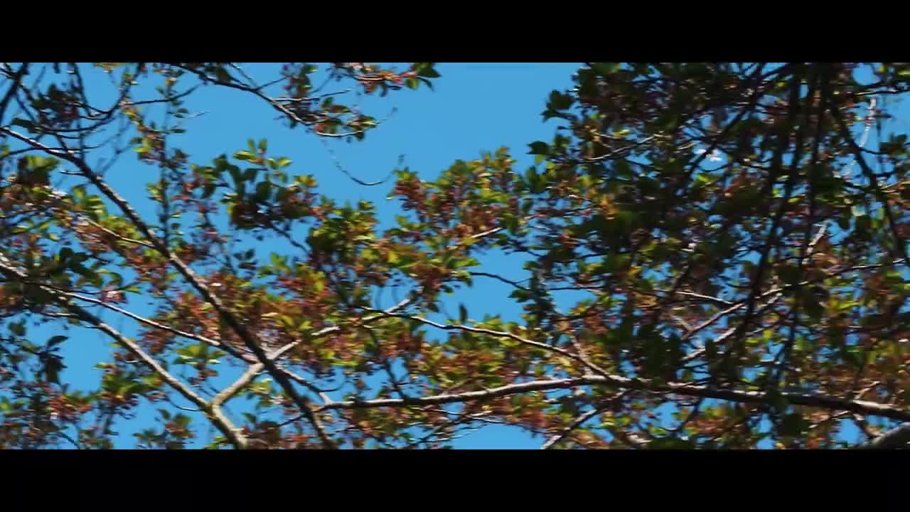 Mt. Fuji | Kawaguchiko Lake | Cinematic View / A must see video!!