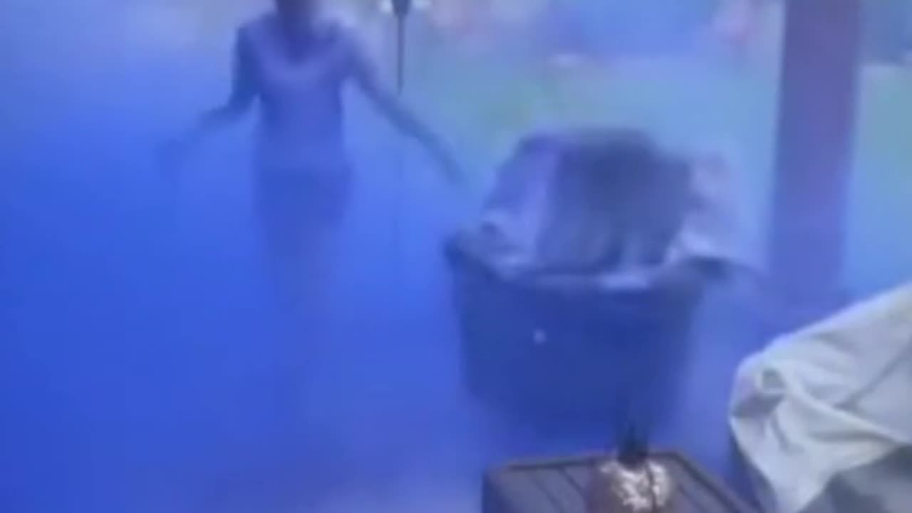 Laughter is the best medicine🤣🤣🤣🤣🤣🤣🤣🤣🤣