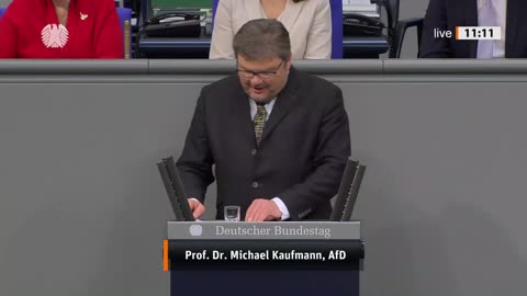 Prof. Dr. Michael Kaufmann Rede vom 23.02.2024 – Stärkung der Fusionsforschung