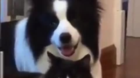 😁