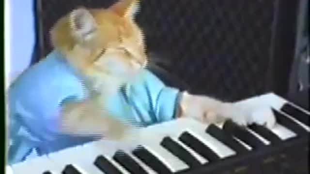 Charlie Schmidt's Keyboard Cat! - THE ORIGINAL!
