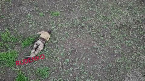 Ukraine war - And in response, silence (Graphic)