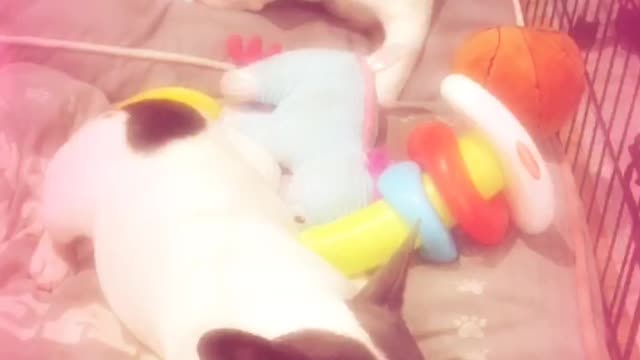 Roko and Mila
