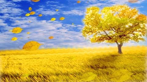 big tree falling leaves wind blowing autumn season dynamic background video