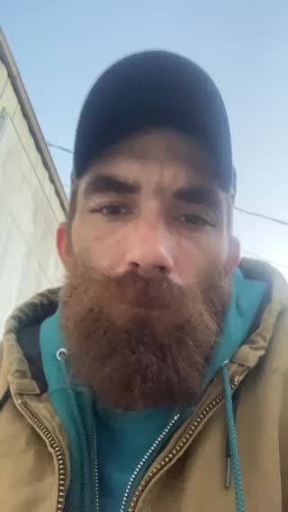 To fish or not to fish?