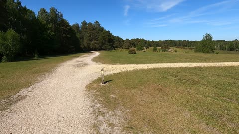 Sounds of cows in the distance.