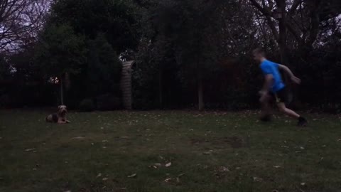 Blue kid backflip fail dog watch