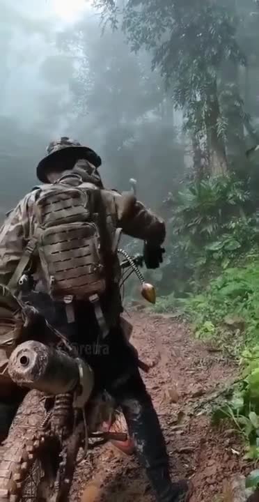 🐿 Who are you without your team