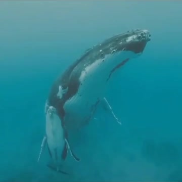 Mother and son lives at the bottom of the sea ⚓👍👀💛💚💙