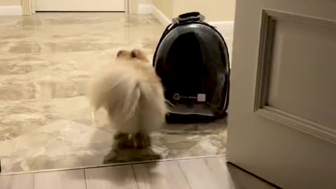 I'm going for a walk