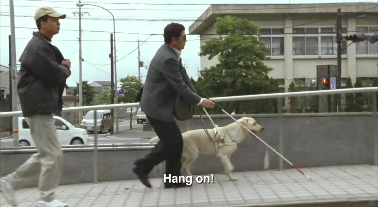 Quill The Life of a Guide Dog Official Trailer #1 (2012) HD Movie