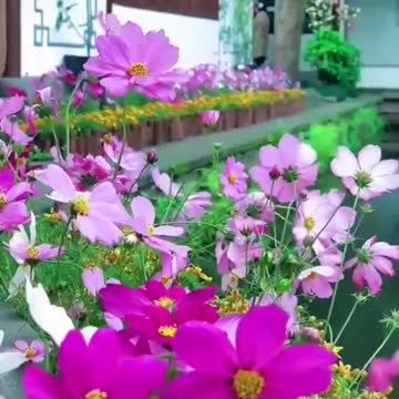 Nice view with good music