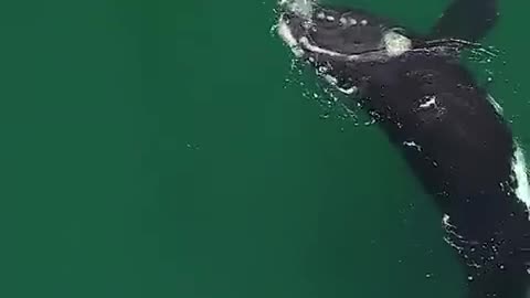 Nature Up Close!!!