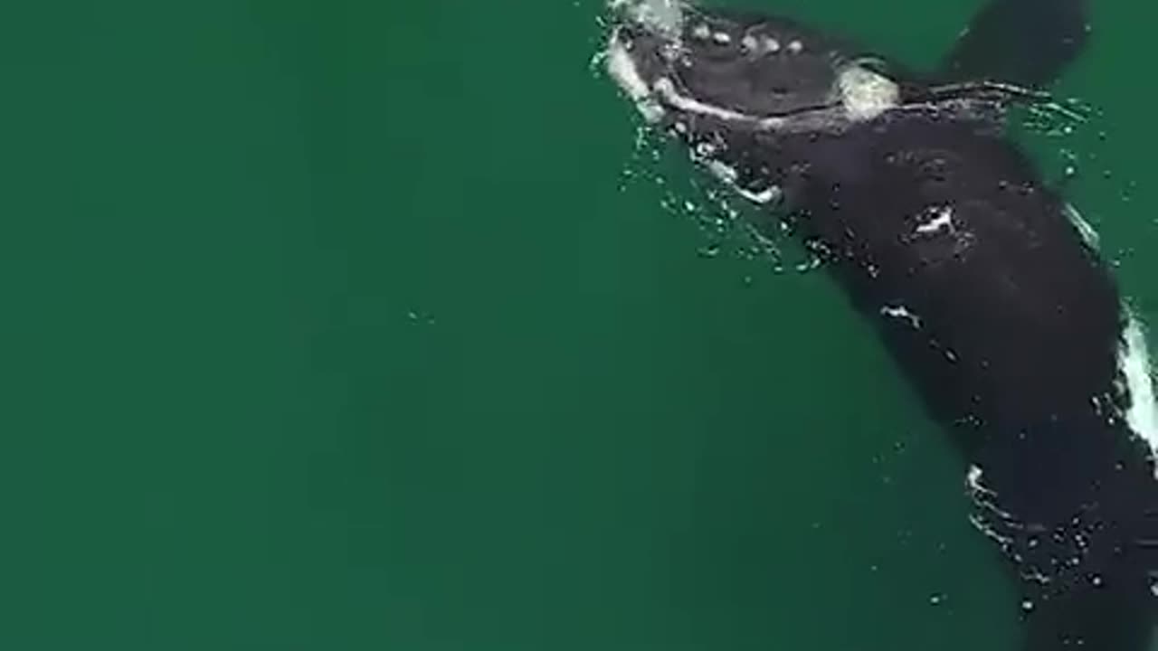 Nature Up Close!!!